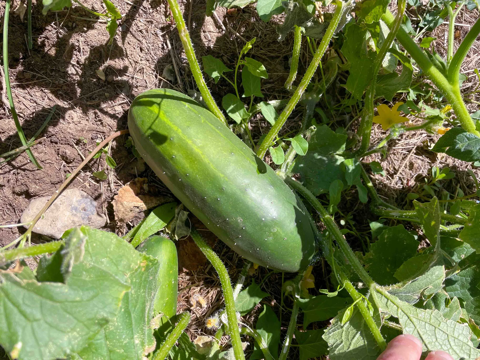 La Villa outdoor space